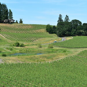 Fundraising Page: Morgan Fritz